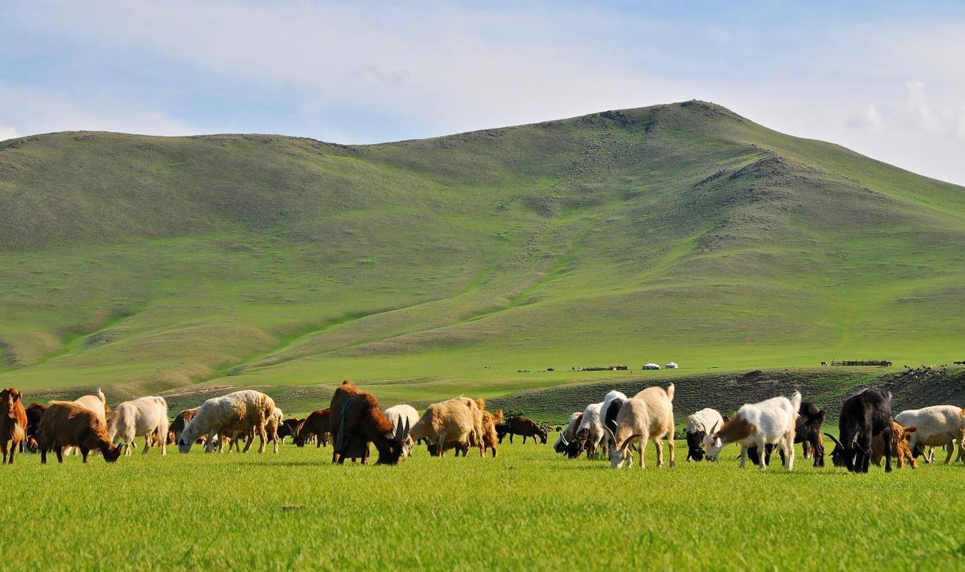 Du lịch Mông Cổ khám phá quê hương Thành Cát Tư Hãn đế chế hùng mạnh nhất