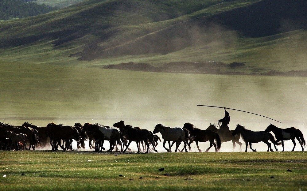 Ngọn cờ Mông Cổ vươn cao tại trời âu trên hành trình chinh phục thế giới