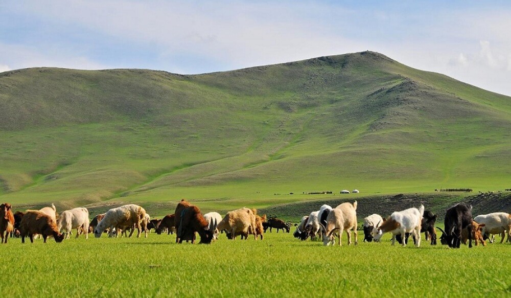 Nhiều điều thú vị về Mông Cổ có thể bạn chưa biết