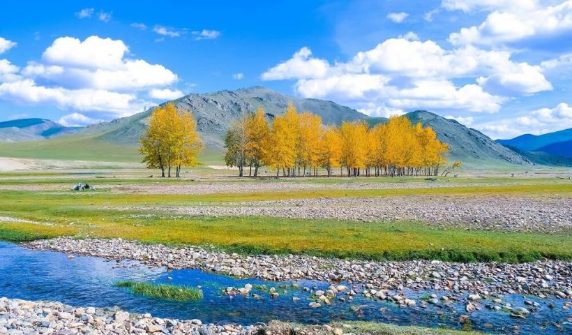 Tour Mông Cổ 7N6Đ – Trải nghiệm thú vị trên quê hương Thành Cát Tư Hãn