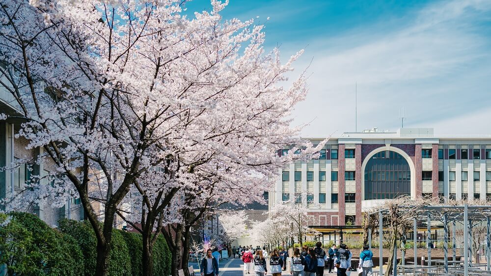 Tất tần tật về chi phí du học Nhật Bản 2020 dành cho bạn