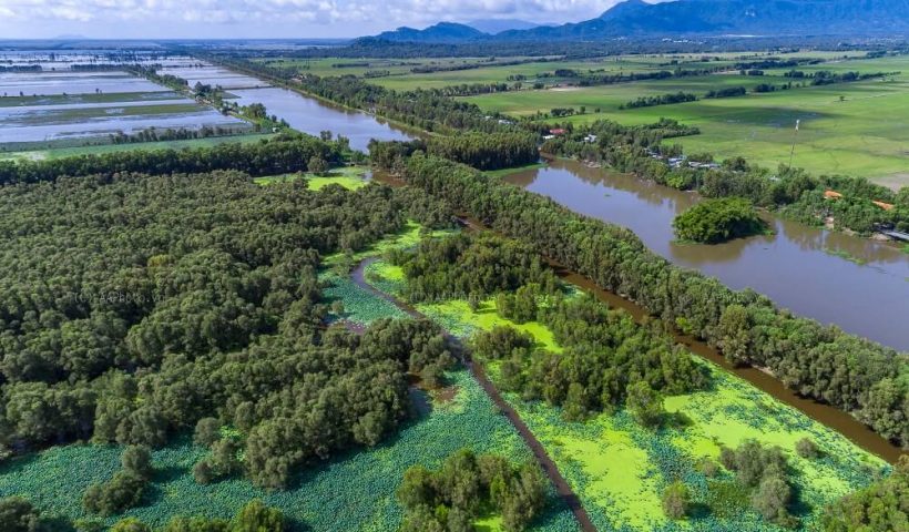 Tour rừng tràm Trà Sư 1 ngày - Đi tìm vẻ đẹp bình dị mùa nước nổi