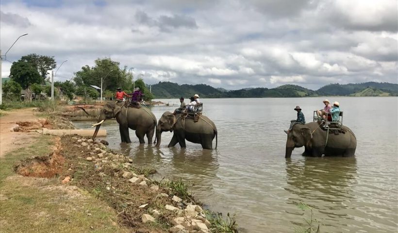 Cưỡi voi lội nước qua Hồ Lắk là một trong những trải nghiệm khó quên khi quý khách tham gia chương trình tour.