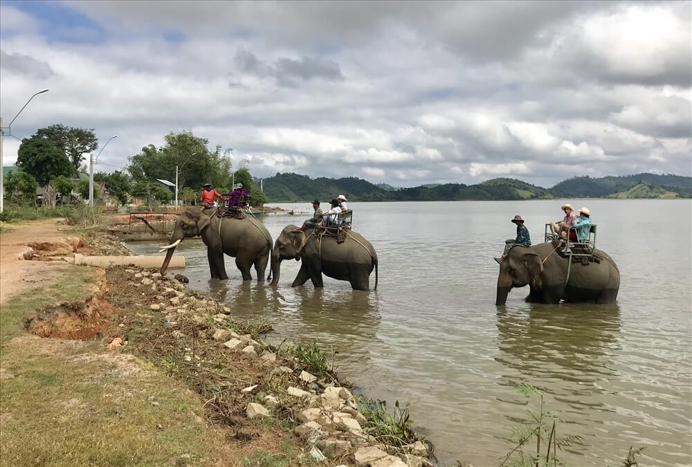 Cưỡi voi lội nước qua Hồ Lắk là một trong những trải nghiệm khó quên khi quý khách tham gia chương trình tour.