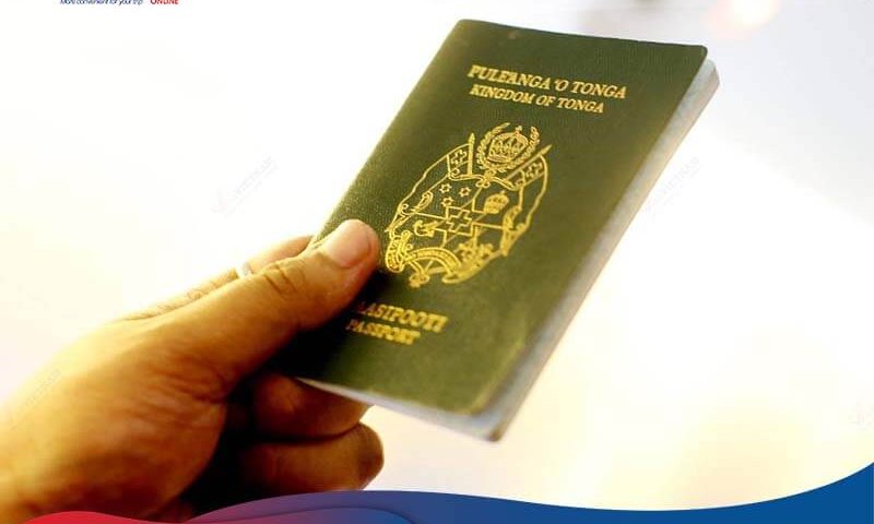 How many ways to apply for Vietnam visa in Tonga?